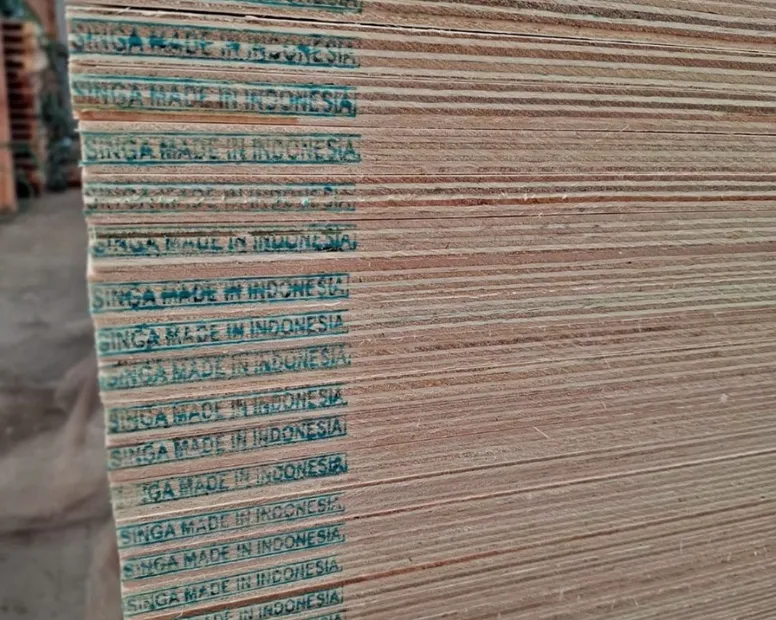 Additional Image 4